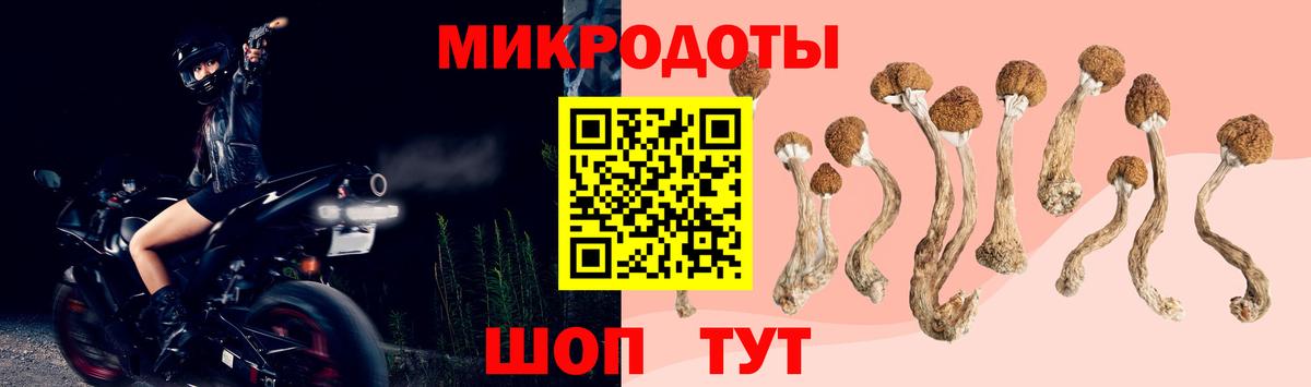 Балашиха  Галлюциногенные грибы Psilocybe  Вход с VPN 
